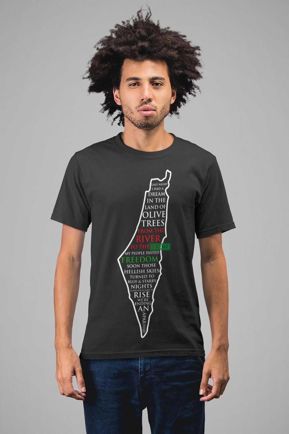 Last Night I Had A Dream Song T-shirt - Palestinian Gaza Support Tee