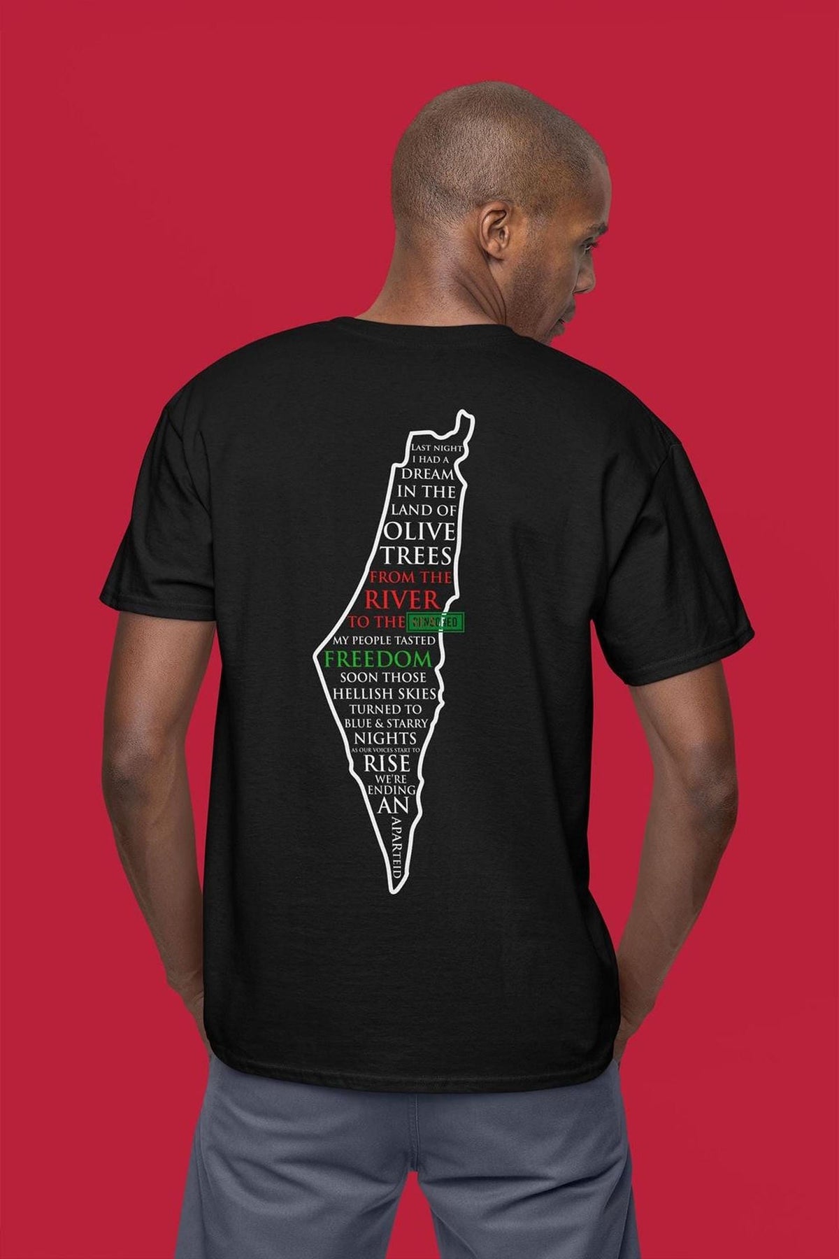 Last Night I Had A Dream Song T-shirt - Palestinian Gaza Support Tee