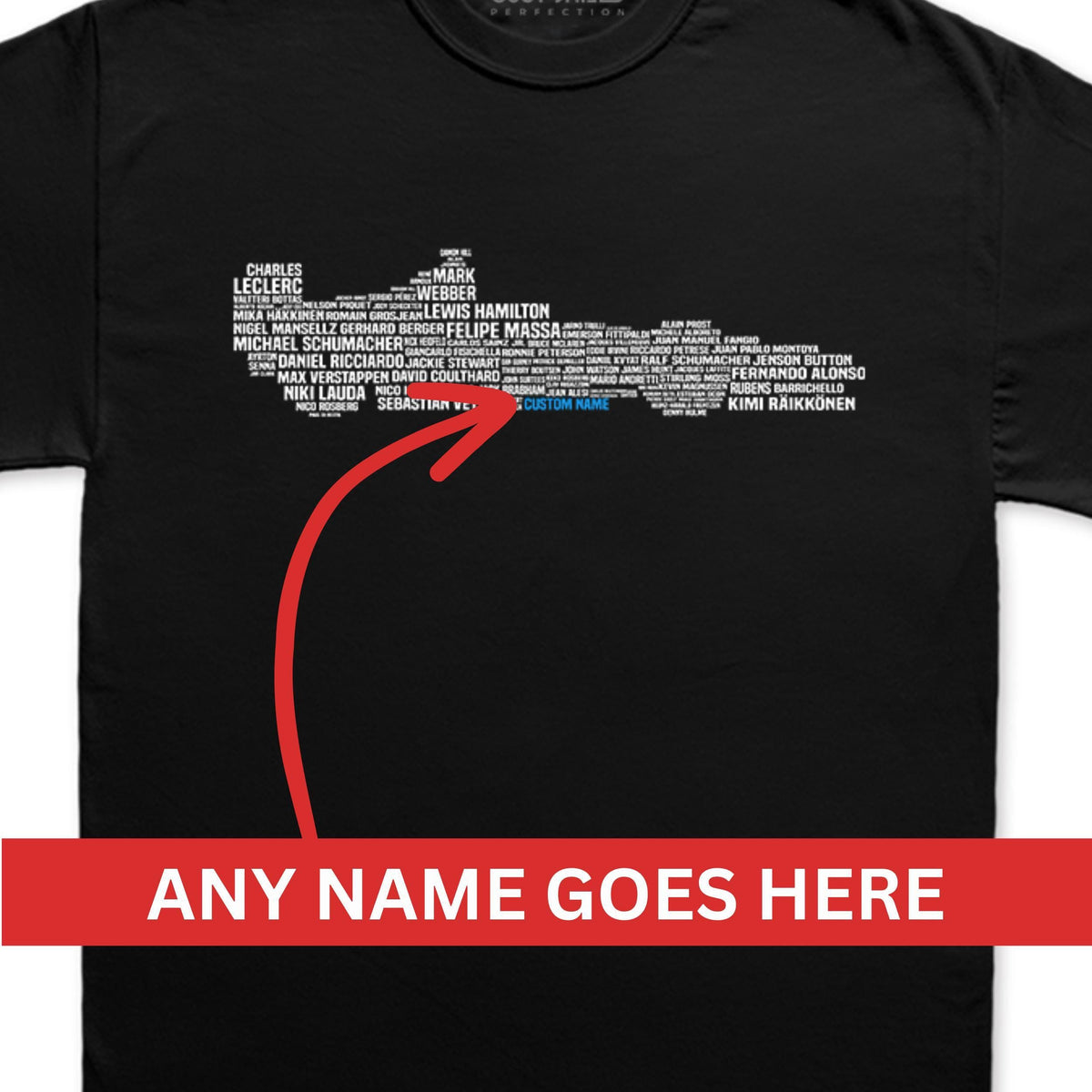 Personalized Racing Car Driver Shirt, Race Legends Tribute T shirt, Formula Tee, Driving Fan Gifts