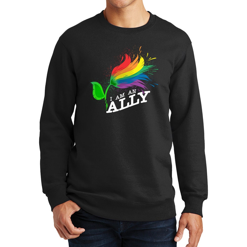 I Am An Ally Pride Gay Lesbian Bisexual LGBT Diversity Sweatshirt