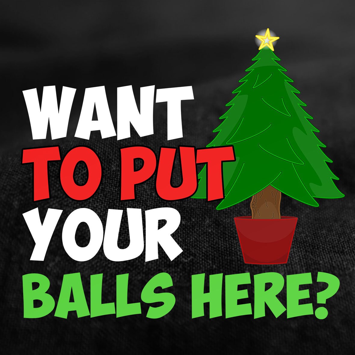 Funny Christmas Shirt, Christmas Tree Shirt, Funny Holiday Shirt, Christmas T shirt, Merry Christmas Tee, Want To Put Your Balls Here? Shirt